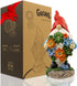 Solar Garden Outdoor Statues Turtle with Succulent 7 LED Lights